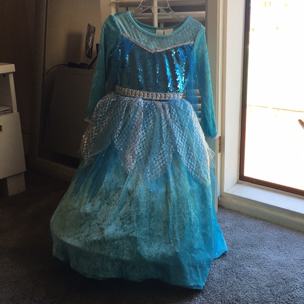 Elsa inspired costume